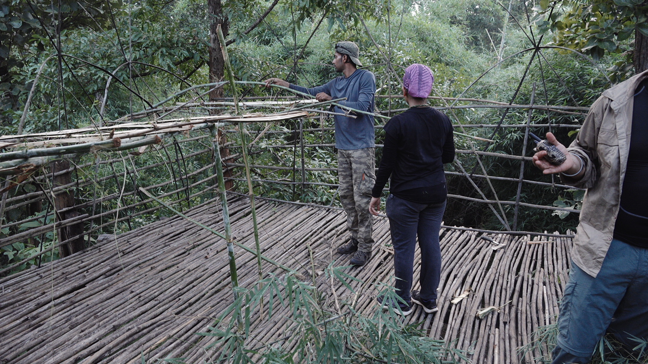 A young girl and boy working with the chief instructor to build their shelter using natural materials as part of their bushcraft experience at Jungle Survival Academy
