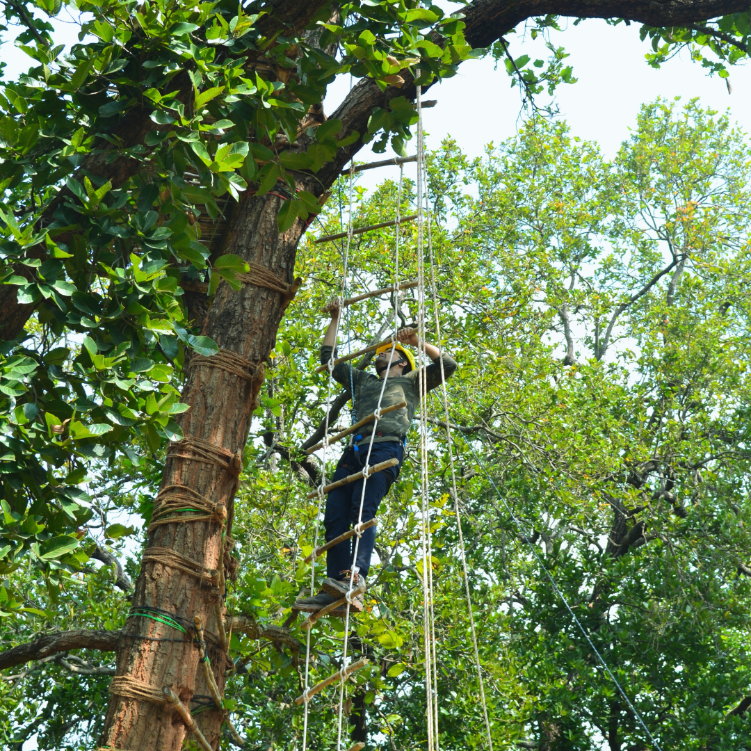 Building natural jungle shelter